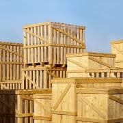 Le stockage carbone