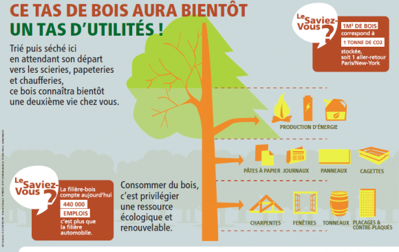 usages du bois