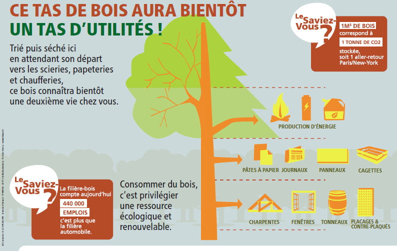 Questions les plus fréquentes sur les travaux de retouche du bois