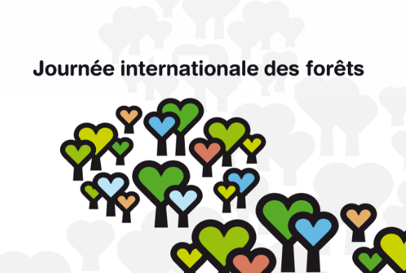 Journée internationale des forêts : la forêt auvergnate s’invite en ville ! Journée internationale des forêts : la forêt auvergnate s’invite en ville !