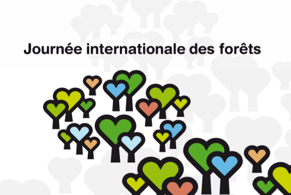 Journée internationale des forêts : la forêt auvergnate s’invite en ville !