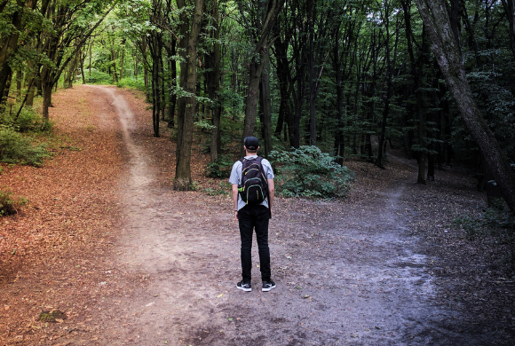 Comment choisit-on le mode de gestion de sa forêt ? Comment choisit-on le mode de gestion de sa forêt ?