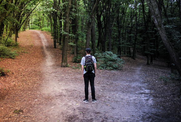 Comment choisit-on le mode de gestion de sa forêt ?