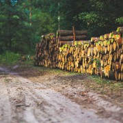 Connaître, mieux comprendre et respecter les différents usages des forêts