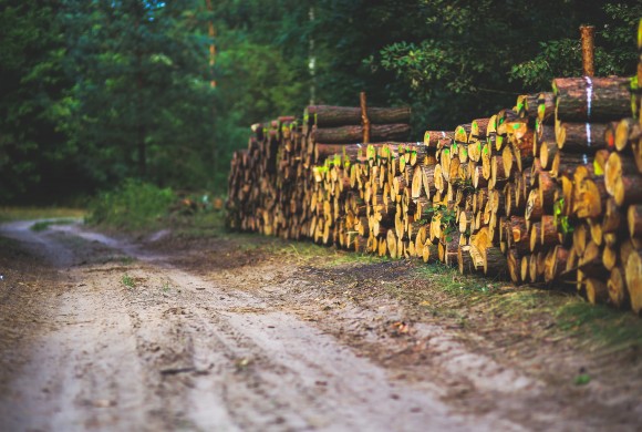 Connaître, mieux comprendre et respecter les différents usages des forêts