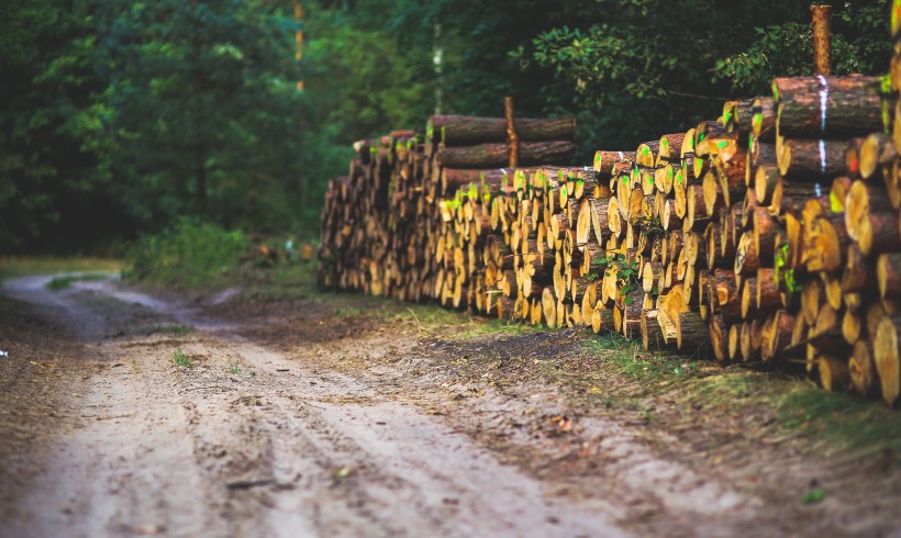 Connaître, mieux comprendre et respecter les différents usages des forêts Connaître, mieux comprendre et respecter les différents usages des forêts