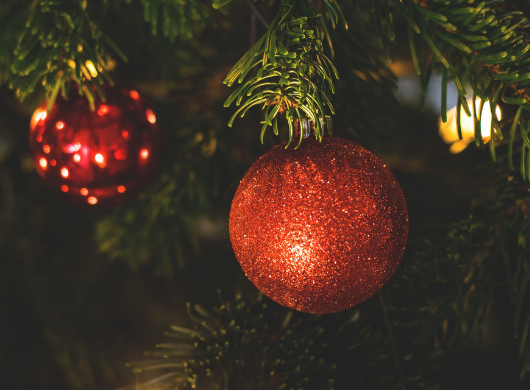 Noël approche, avez-vous pensé au sapin ? Noël approche, avez-vous pensé au sapin ?