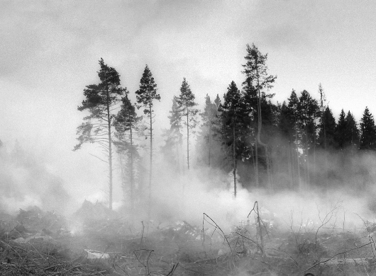 Des forêts entretenues, des incendies contenus ! Des forêts entretenues, des incendies contenus !