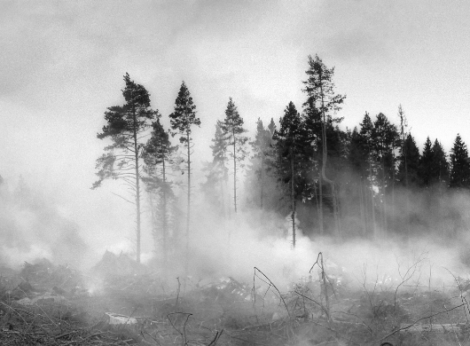 Des forêts entretenues, des incendies contenus !