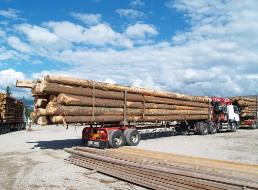 Le transport de bois rond, si on en parlait ? Le transport de bois rond, si on en parlait ?