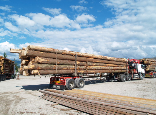 Le transport de bois rond, si on en parlait ?