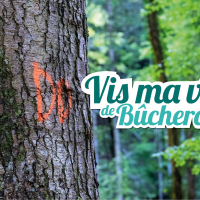 « “Vis ma vie de bûcheron”, 56 rendez‑vous à l’ombre des forêts d’Auvergne‑Rhône‑Alpes