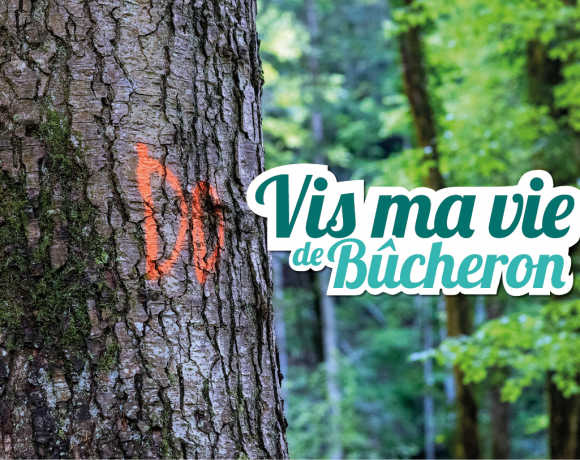 « “Vis ma vie de bûcheron”, 56 rendez‑vous à l’ombre des forêts d’Auvergne‑Rhône‑Alpes