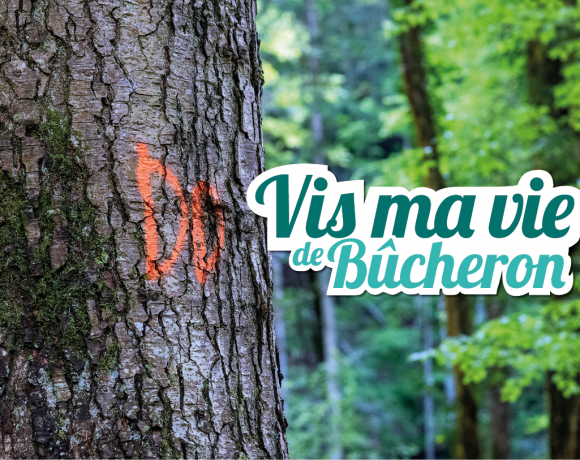 “Vis ma vie de bûcheron”, 56 rendez‑vous à l’ombre des forêts d’Auvergne‑Rhône‑Alpes