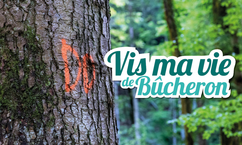 “Vis ma vie de bûcheron”, 56 rendez‑vous à l’ombre des forêts d’Auvergne‑Rhône‑Alpes