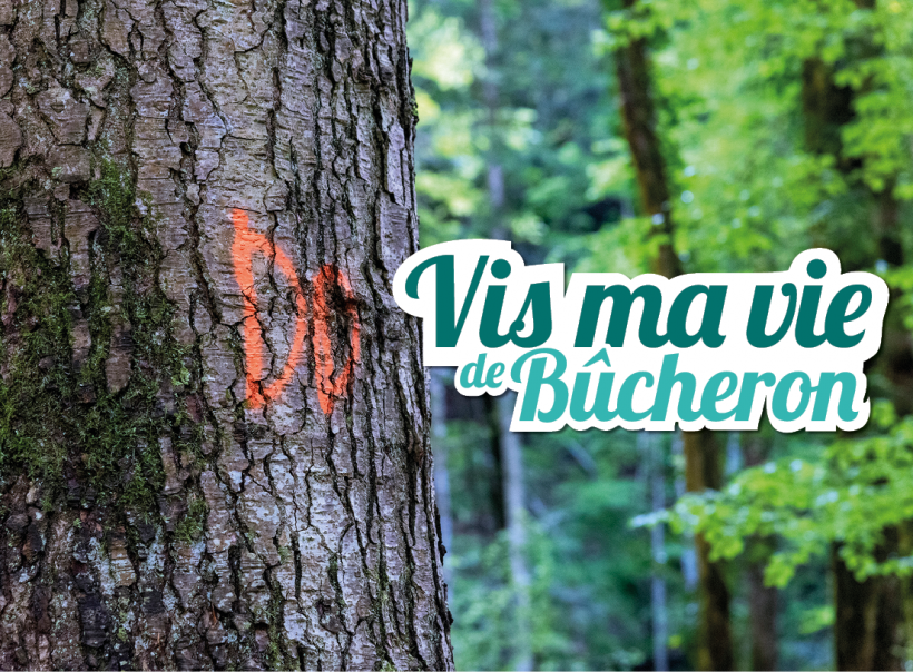 “Vis ma vie de bûcheron”, 56 rendez‑vous à l’ombre des forêts d’Auvergne‑Rhône‑Alpes