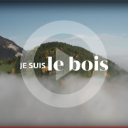 « Je suis le Bois », la websérie sans langue de bois !