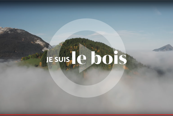 « Je suis le Bois », la websérie sans langue de bois !