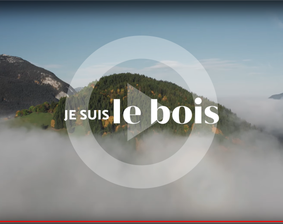 « Je suis le Bois », la websérie sans langue de bois !