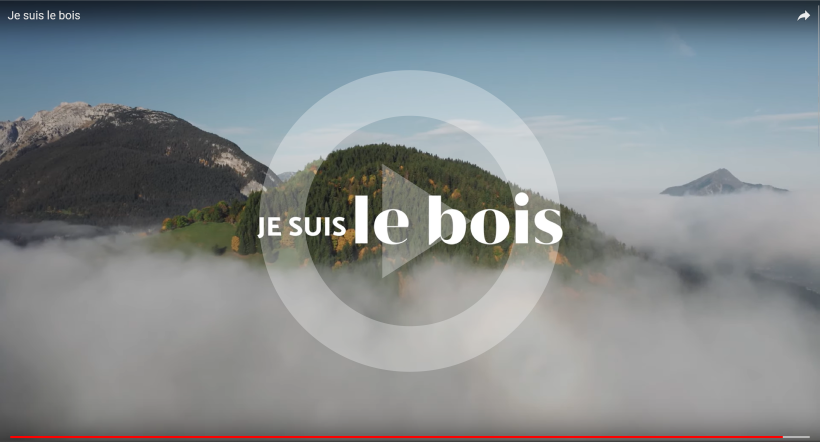 « Je suis le Bois », la websérie sans langue de bois !