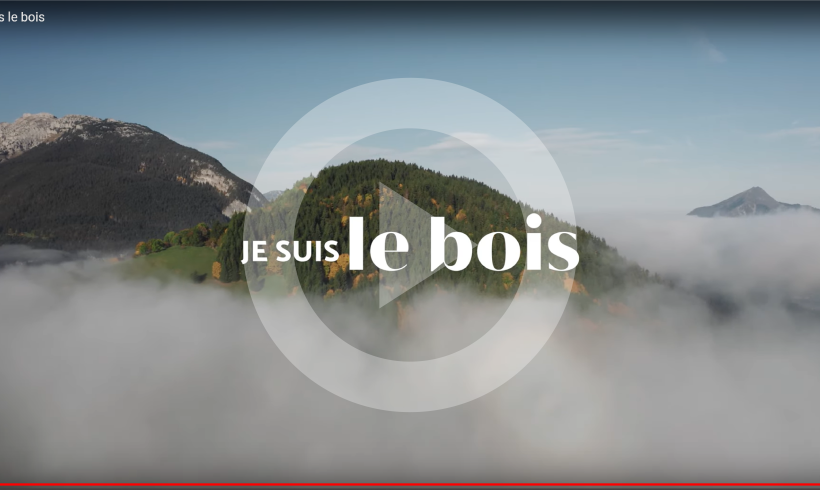 « Je suis le Bois », la websérie sans langue de bois !