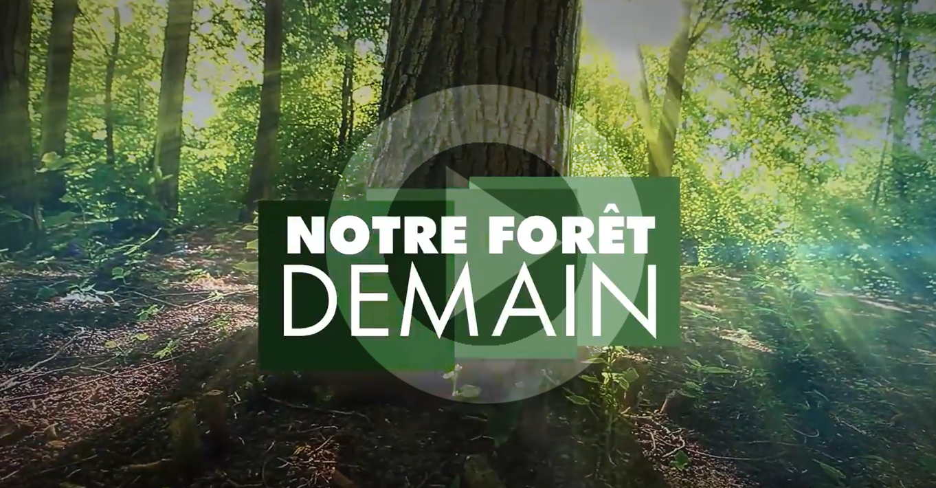 NOTREFORETDEMAIN_image video