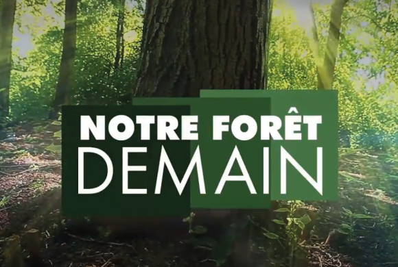 Notre Forêt Demain, une émission TV pour comprendre la forêt