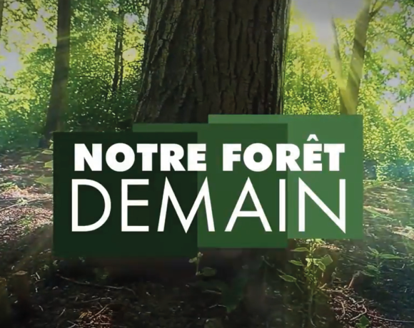 Notre Forêt Demain, une émission TV pour comprendre la forêt