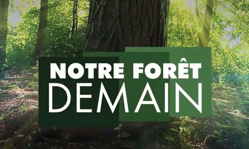 Notre Forêt Demain, une émission TV pour comprendre la forêt Notre Forêt Demain, une émission TV pour comprendre la forêt