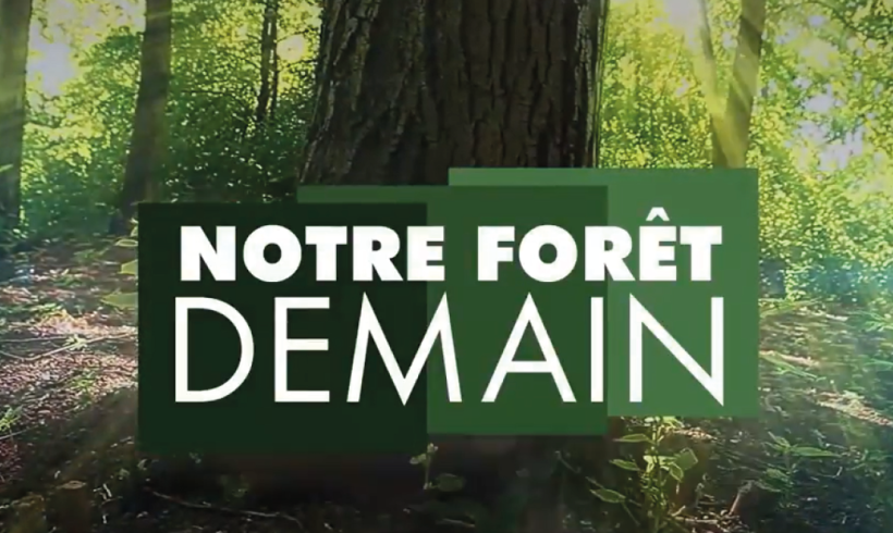 Notre Forêt Demain, une émission TV pour comprendre la forêt