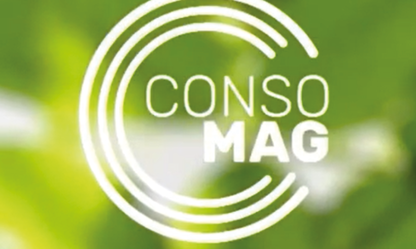 Quand la filière forêt-bois va à la rencontre des consommateurs avec ConsoMag Quand la filière forêt-bois va à la rencontre des consommateurs avec ConsoMag