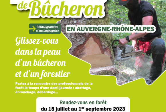 Vis ma vie de Bûcheron, saison 2023 !