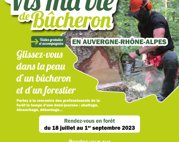 Vis ma vie de Bûcheron, saison 2023 !