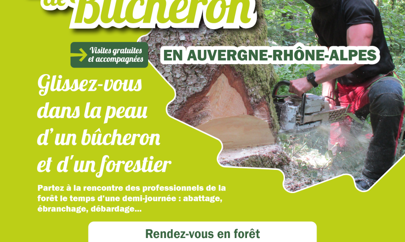 Vis ma vie de Bûcheron, saison 2023 ! Vis ma vie de Bûcheron, saison 2023 !
