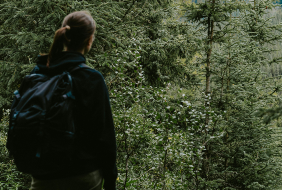 10 ans de « Vis ma Vie de Bûcheron », une expérience unique au cœur des forêts