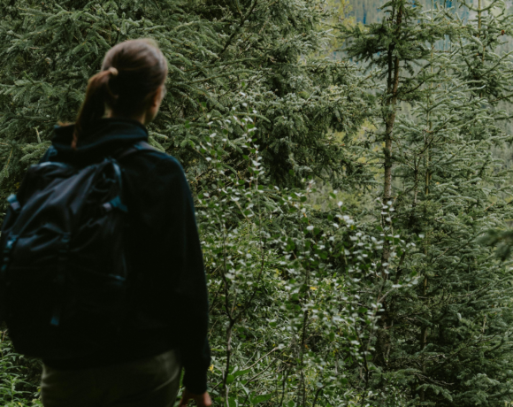 10 ans de « Vis ma Vie de Bûcheron », une expérience unique au cœur des forêts