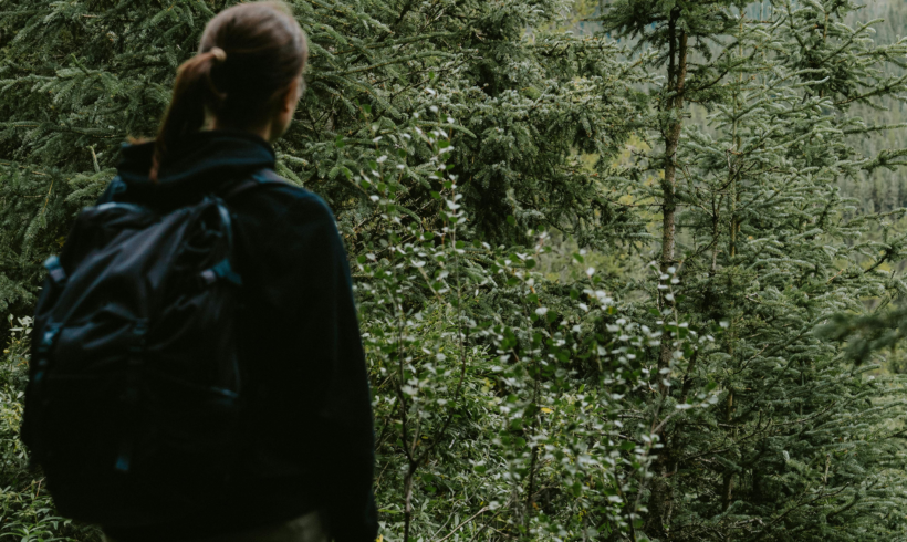 10 ans de « Vis ma Vie de Bûcheron », une expérience unique au cœur des forêts