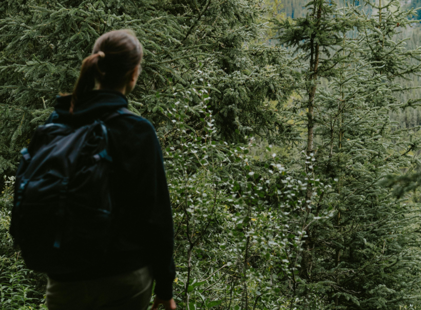10 ans de « Vis ma Vie de Bûcheron », une expérience unique au cœur des forêts